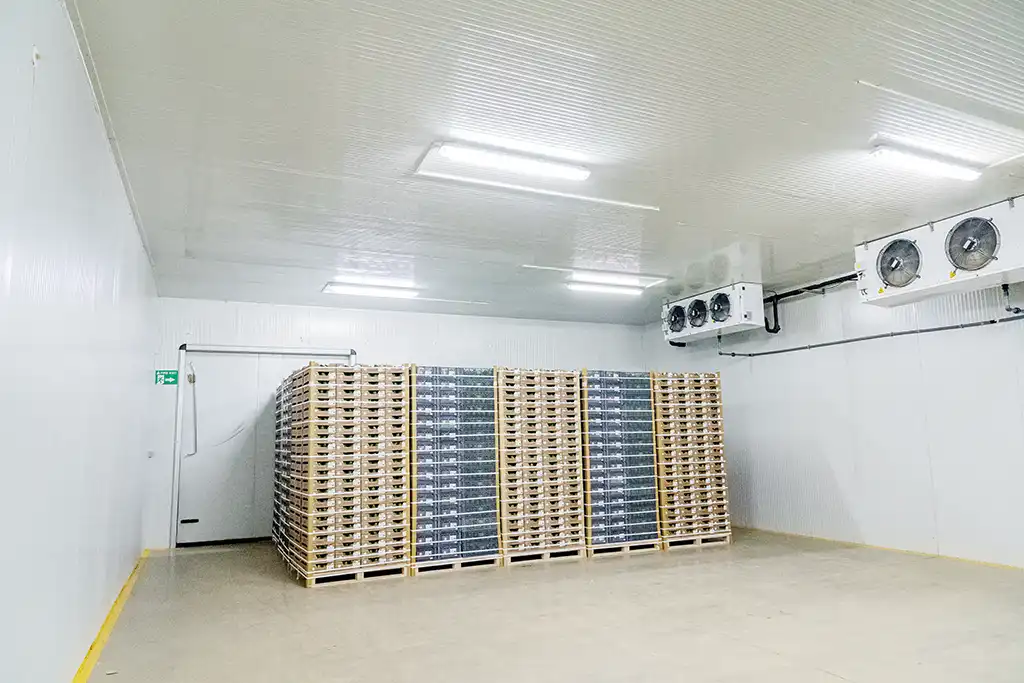 Logistics